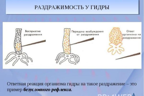 Взломали аккаунт кракен