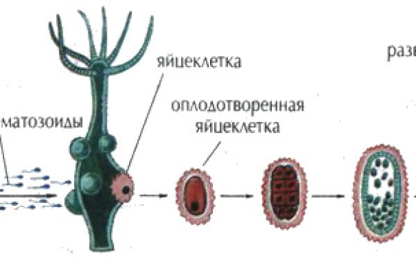 Кракен вход kraken6 onion