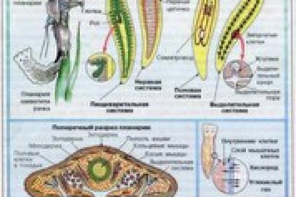 Кракен даркнет площадка