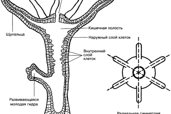 Kraken официальный сайт kr2web in