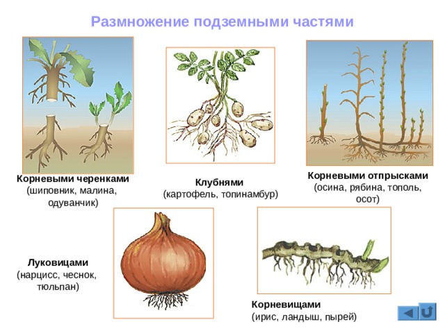 Как заказать на кракене