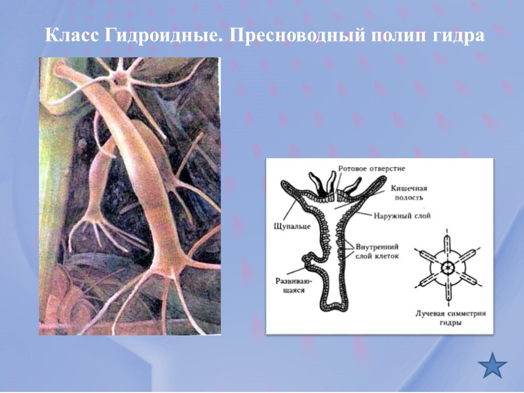 Сайты продаж наркотиков